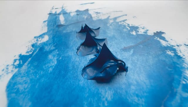 Old Holland Cerulean Blue 5