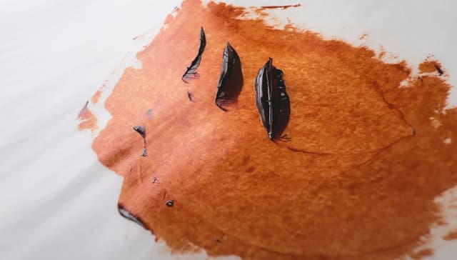 Quinacridone Burnt Orange in Oil Paints 4